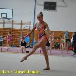 Druhý díl Jihočeské ligy v moderní gymnastice uspořádal GSK Tábor