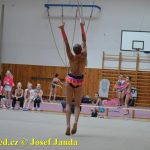 Druhý díl Jihočeské ligy v moderní gymnastice uspořádal GSK Tábor