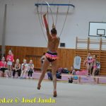 Druhý díl Jihočeské ligy v moderní gymnastice uspořádal GSK Tábor