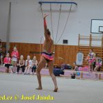 Druhý díl Jihočeské ligy v moderní gymnastice uspořádal GSK Tábor