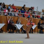 Druhý díl Jihočeské ligy v moderní gymnastice uspořádal GSK Tábor