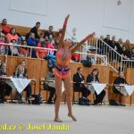 Druhý díl Jihočeské ligy v moderní gymnastice uspořádal GSK Tábor