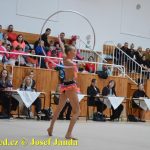 Druhý díl Jihočeské ligy v moderní gymnastice uspořádal GSK Tábor