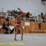 Druhý díl Jihočeské ligy v moderní gymnastice uspořádal GSK Tábor
