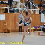 Druhý díl Jihočeské ligy v moderní gymnastice uspořádal GSK Tábor