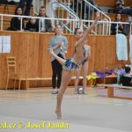 Druhý díl Jihočeské ligy v moderní gymnastice uspořádal GSK Tábor