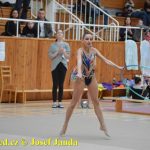 Druhý díl Jihočeské ligy v moderní gymnastice uspořádal GSK Tábor