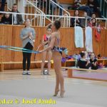 Druhý díl Jihočeské ligy v moderní gymnastice uspořádal GSK Tábor