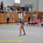 Druhý díl Jihočeské ligy v moderní gymnastice uspořádal GSK Tábor