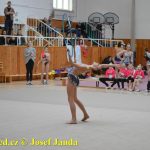 Druhý díl Jihočeské ligy v moderní gymnastice uspořádal GSK Tábor