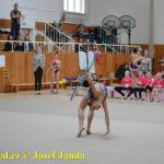 Druhý díl Jihočeské ligy v moderní gymnastice uspořádal GSK Tábor