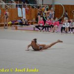 Druhý díl Jihočeské ligy v moderní gymnastice uspořádal GSK Tábor
