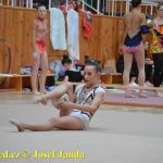 Druhý díl Jihočeské ligy v moderní gymnastice uspořádal GSK Tábor