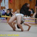 Druhý díl Jihočeské ligy v moderní gymnastice uspořádal GSK Tábor