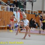 Druhý díl Jihočeské ligy v moderní gymnastice uspořádal GSK Tábor