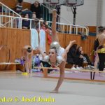 Druhý díl Jihočeské ligy v moderní gymnastice uspořádal GSK Tábor