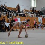 Druhý díl Jihočeské ligy v moderní gymnastice uspořádal GSK Tábor