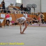 Druhý díl Jihočeské ligy v moderní gymnastice uspořádal GSK Tábor