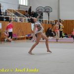 Druhý díl Jihočeské ligy v moderní gymnastice uspořádal GSK Tábor