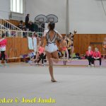 Druhý díl Jihočeské ligy v moderní gymnastice uspořádal GSK Tábor