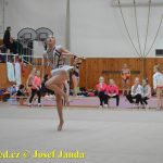 Druhý díl Jihočeské ligy v moderní gymnastice uspořádal GSK Tábor