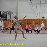 Druhý díl Jihočeské ligy v moderní gymnastice uspořádal GSK Tábor