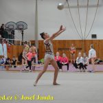 Druhý díl Jihočeské ligy v moderní gymnastice uspořádal GSK Tábor