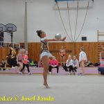 Druhý díl Jihočeské ligy v moderní gymnastice uspořádal GSK Tábor