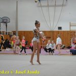 Druhý díl Jihočeské ligy v moderní gymnastice uspořádal GSK Tábor