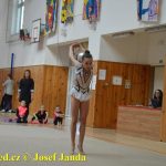 Druhý díl Jihočeské ligy v moderní gymnastice uspořádal GSK Tábor