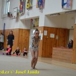 Druhý díl Jihočeské ligy v moderní gymnastice uspořádal GSK Tábor