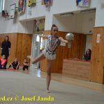 Druhý díl Jihočeské ligy v moderní gymnastice uspořádal GSK Tábor