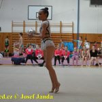 Druhý díl Jihočeské ligy v moderní gymnastice uspořádal GSK Tábor