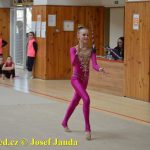 Druhý díl Jihočeské ligy v moderní gymnastice uspořádal GSK Tábor
