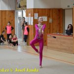 Druhý díl Jihočeské ligy v moderní gymnastice uspořádal GSK Tábor
