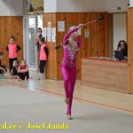 Druhý díl Jihočeské ligy v moderní gymnastice uspořádal GSK Tábor