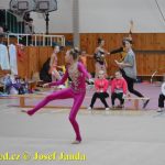 Druhý díl Jihočeské ligy v moderní gymnastice uspořádal GSK Tábor