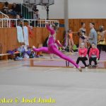 Druhý díl Jihočeské ligy v moderní gymnastice uspořádal GSK Tábor
