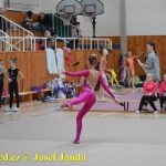 Druhý díl Jihočeské ligy v moderní gymnastice uspořádal GSK Tábor