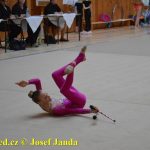 Druhý díl Jihočeské ligy v moderní gymnastice uspořádal GSK Tábor
