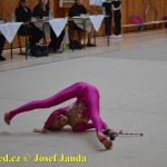 Druhý díl Jihočeské ligy v moderní gymnastice uspořádal GSK Tábor