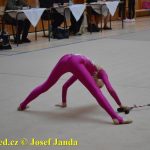 Druhý díl Jihočeské ligy v moderní gymnastice uspořádal GSK Tábor