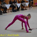 Druhý díl Jihočeské ligy v moderní gymnastice uspořádal GSK Tábor