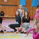 Druhý díl Jihočeské ligy v moderní gymnastice uspořádal GSK Tábor