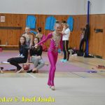 Druhý díl Jihočeské ligy v moderní gymnastice uspořádal GSK Tábor