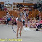 Druhý díl Jihočeské ligy v moderní gymnastice uspořádal GSK Tábor