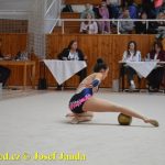 Druhý díl Jihočeské ligy v moderní gymnastice uspořádal GSK Tábor