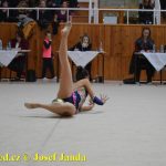 Druhý díl Jihočeské ligy v moderní gymnastice uspořádal GSK Tábor