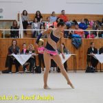 Druhý díl Jihočeské ligy v moderní gymnastice uspořádal GSK Tábor