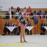 Druhý díl Jihočeské ligy v moderní gymnastice uspořádal GSK Tábor